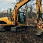 Is Stump Grinding Buffalo Worth It?