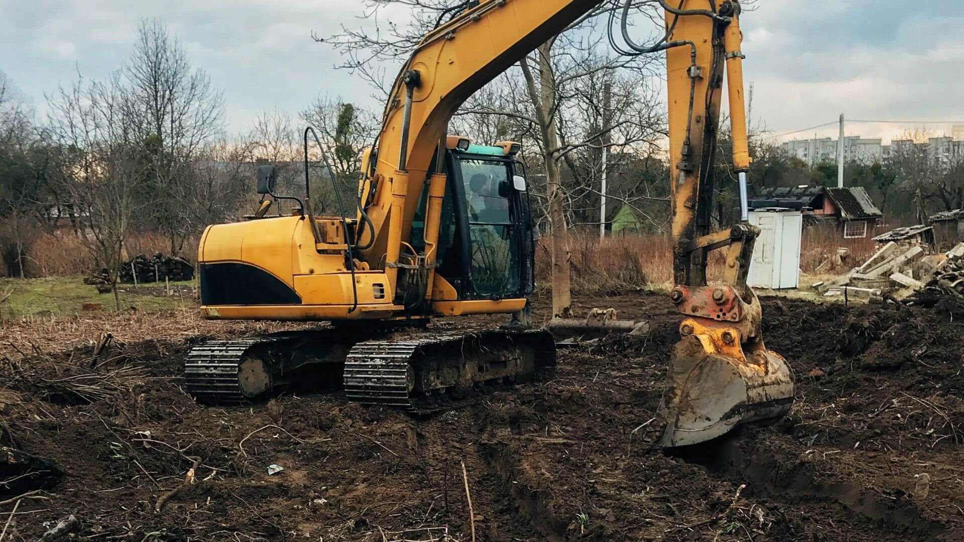 Is Stump Grinding Buffalo Worth It?