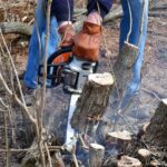 Best and Affordable Tree Service Buffalo