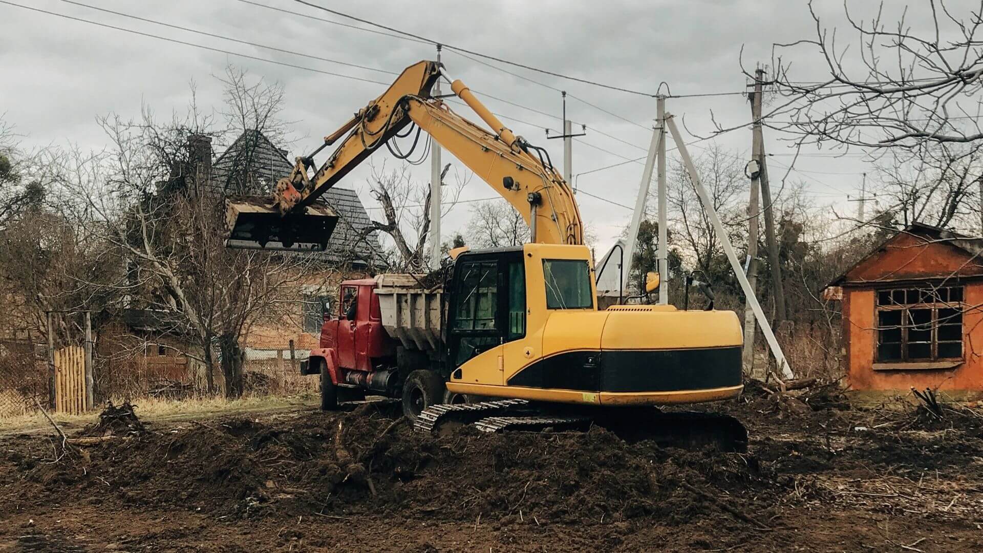 Make Your Unused Land Usable with Land Clearing Buffalo