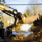 Why Do You Need Tree Service Buffalo NY