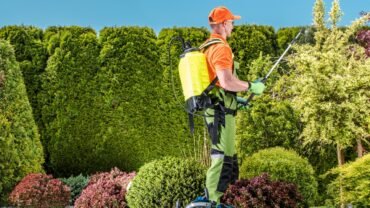Avail the Benefits By Hiring the Best Tree Service Buffalo NY this Winter