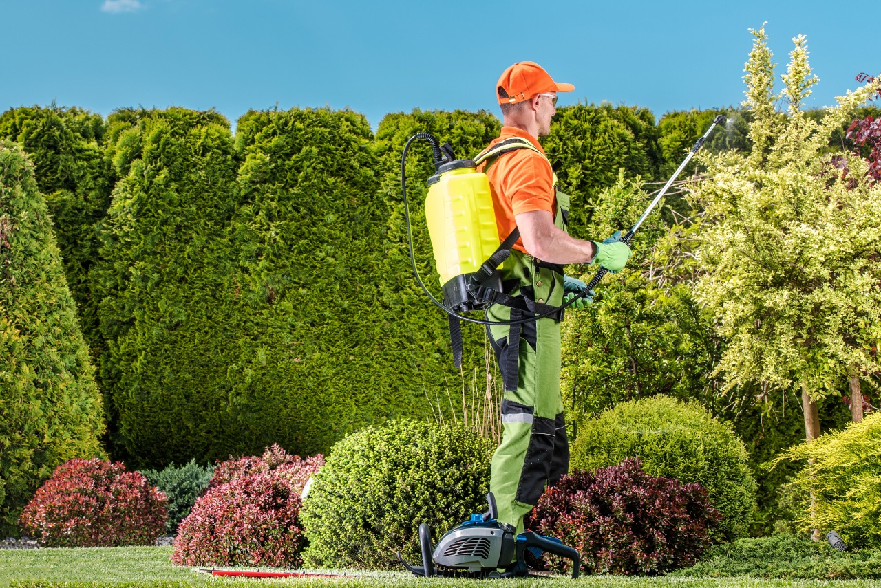 Avail the Benefits By Hiring the Best Tree Service Buffalo NY this Winter