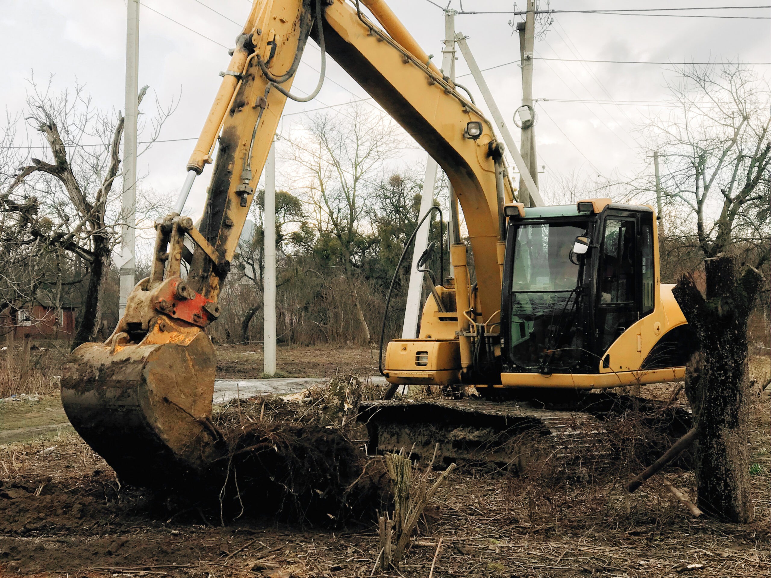 4 Crucial Things That You Must Certainly Know About Land Clearing Services