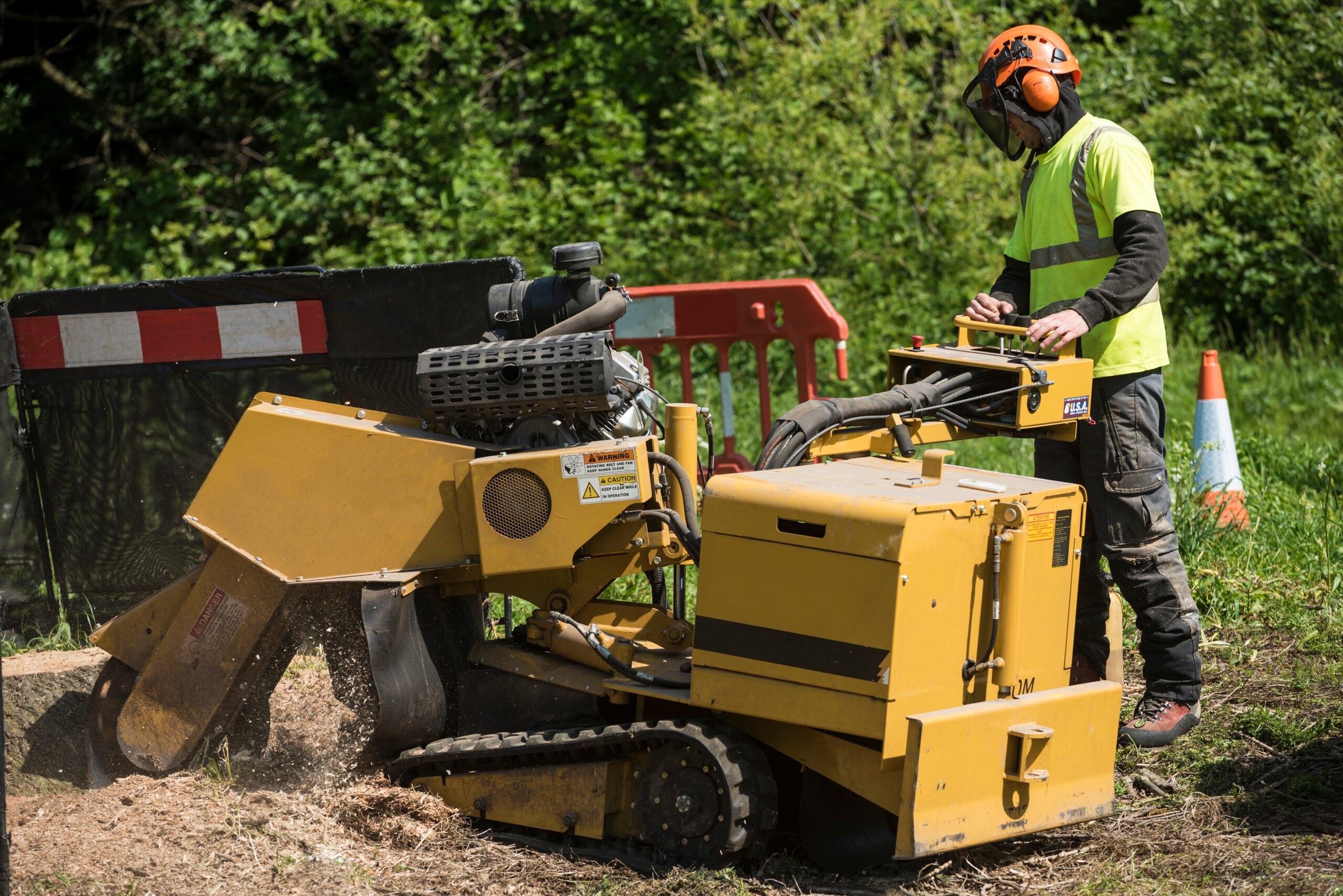Is Stump Grinding A Better Option Than Stump Removal?