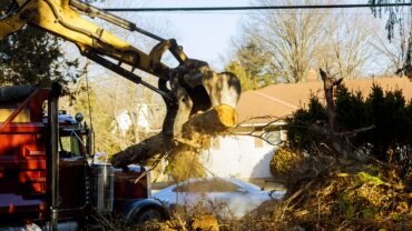 Unmatched Benefits Of Professional Tree Removal Process