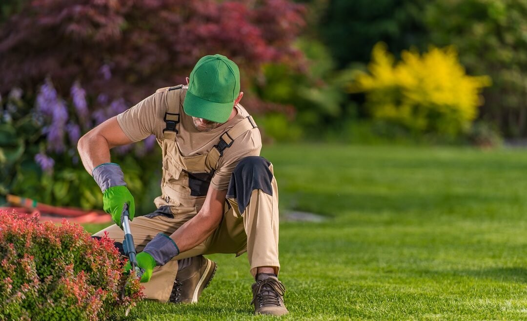 4 Signs That You Need Residential Tree Trimming