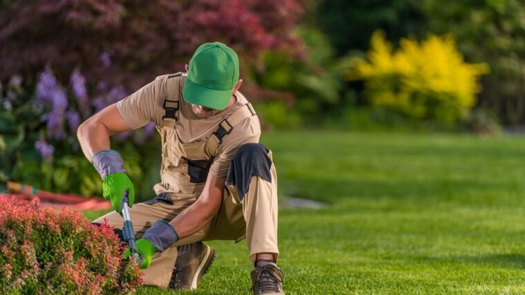 4 Signs That You Need Residential Tree Trimming
