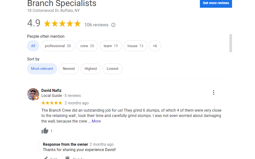 Why Do You Need To Check Reviews Before Hiring A Tree Service Company?