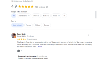 Why Do You Need To Check Reviews Before Hiring A Tree Service Company?