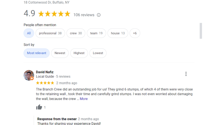 Why Do You Need To Check Reviews Before Hiring A Tree Service Company?