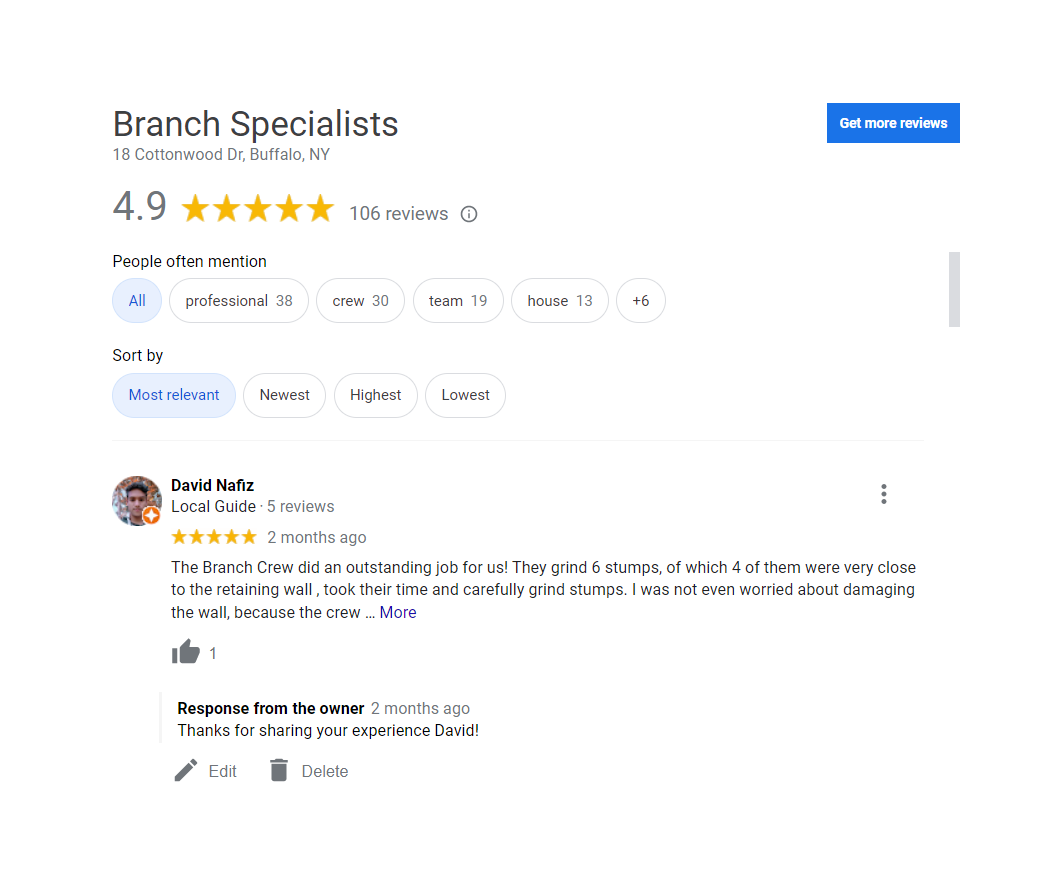 Why Do You Need To Check Reviews Before Hiring A Tree Service Company?