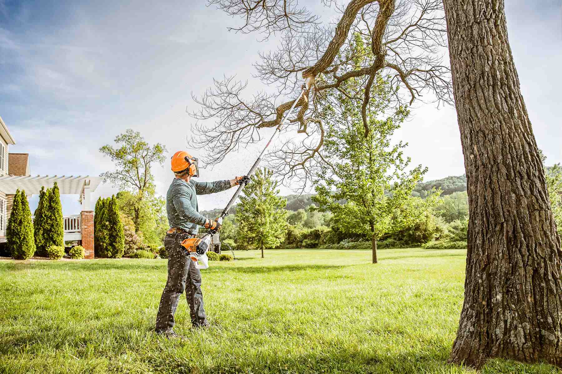 Tree Trimming Services: Should Tree Owners Pay Extra Heed To It?