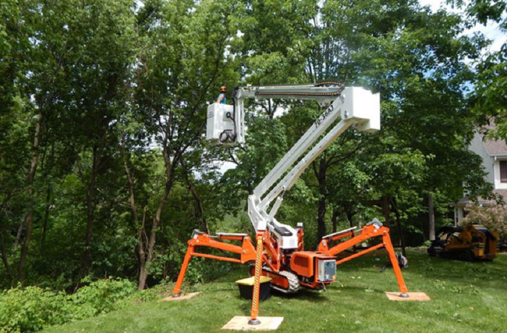 6 Advantages of Hiring Tree Removal Professionals