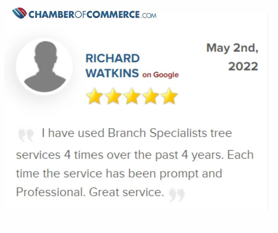 2-ezgif.com-jpg-to-webp-converter