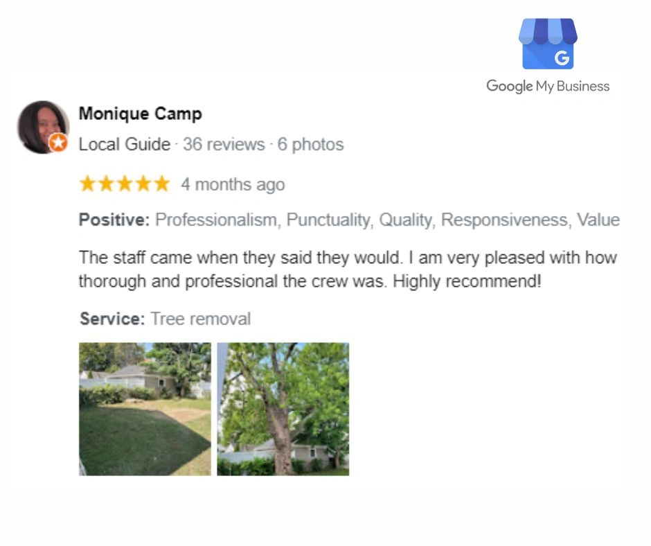 Branch-Specialists-Tree-Service-Buffalo-NY-reviews-1-ezgif.com-jpg-to-webp-converter